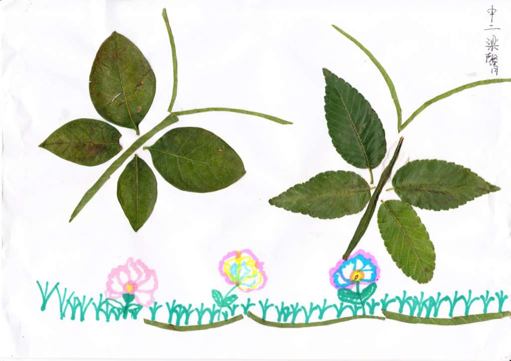 亲子活动-树叶粘贴画 亲子活动-树叶粘贴画
